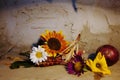 still life with sunflowers and daisy on wooden floor