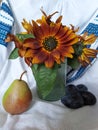 still life: sunflowers, pear and plums, against the background of homespun fabric Royalty Free Stock Photo