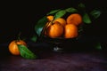 Still life of tangerines with leaves Royalty Free Stock Photo