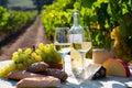 Tasty cheese, wine, grapes and bread on table in vineyards Royalty Free Stock Photo