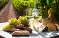 Tasty cheese, wine, grapes and bread on table in vineyards Royalty Free Stock Photo