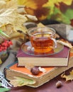 Still life with tea, books and leaves in autumn Royalty Free Stock Photo