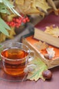 Still life with tea, books and leaves in autumn Royalty Free Stock Photo