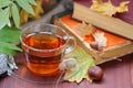 Still life with tea, books and leaves in autumn Royalty Free Stock Photo