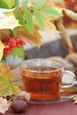 Still life with tea, books and leaves in autumn Royalty Free Stock Photo