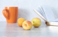 Still life with three apricots, cup and open book Royalty Free Stock Photo