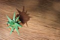 Still Life of Three Cactus Plants on Vintage Wood Background Tex Royalty Free Stock Photo