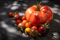 Still life tomatoes over dark background Royalty Free Stock Photo