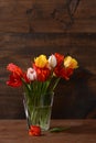 Still life of tulips Royalty Free Stock Photo