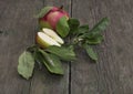 Still life two apples, one in a cross-section the fruit of fall Royalty Free Stock Photo