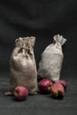 Still life with two burlap bags and ripe apples Royalty Free Stock Photo