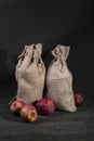 Still life with two burlap bags and ripe apples Royalty Free Stock Photo