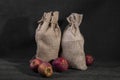 Still life with two burlap bags and ripe apples Royalty Free Stock Photo