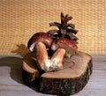 Still life with two fused porcini mushrooms and a cedar cone