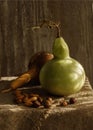 Still life with two pumkins and nuts with shadows Royalty Free Stock Photo