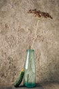 Still life with an umbrella of fragrant dill in a glass milk bottle on a concrete background