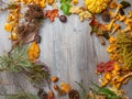 Still Life of a Variety of autumn Fall Nature Items in wooden table with copy space