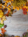 Still Life of a Variety of autumn Fall Nature Items in wooden table with copy space, selective focus