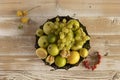 Still life:various assorted fruits (grape, apple, pear,lemon, lime, rowan, physalis)in copper plate on wooden table Royalty Free Stock Photo