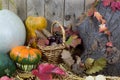 Still Life with Various Pumpkins, Wicker Basket Filled with Pinecones, Acorns, Chestnuts and Autumn Leaves on a Hay Royalty Free Stock Photo