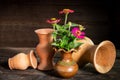 Still Life with a vase flower, Royalty Free Stock Photo