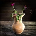 Still Life with a vase flower,earthenware Royalty Free Stock Photo