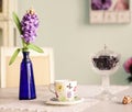 Still life with vase hyacinth flowers tea cup rose and blue wal Royalty Free Stock Photo