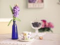 Still life with vase hyacinth flowers tea cup rose and blue wal Royalty Free Stock Photo