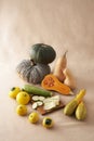 Still life of vegetables mixed Royalty Free Stock Photo