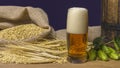 Still life with a vintage beer barrel and a glass of foamy beer. Green hops and golden barley on a wooden table. Ingredients for Royalty Free Stock Photo