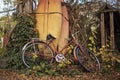 A still life of a vintage bicycle and paddle boards during an autumn month Royalty Free Stock Photo