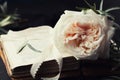 Still Life Of Vintage Rose Flower And Old Books On Black Surface. Beautiful Retro Card.