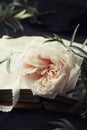 Still life of vintage rose flower and old books on black table. Beautiful retro card. Royalty Free Stock Photo