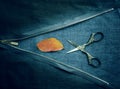 Still life. vintage. zipper, scissors and rhododendron leaves on cloth. close-up. top view