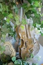 Still life of violin, green vine and other decorative items Royalty Free Stock Photo