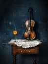 Still life of violin Royalty Free Stock Photo