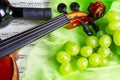 Still life with violin and wine Royalty Free Stock Photo