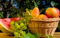 Still life with watermelon Royalty Free Stock Photo