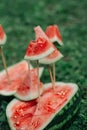 Still life with watermelon and pomegranates in a wooden box on the grass in the park in spring