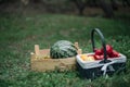 Still life with watermelon and pomegranates in a wooden box on the grass in the park in spring