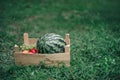 Still life with watermelon and pomegranates in a wooden box on the grass in the park in spring