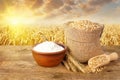 Still life of wheat and flour Royalty Free Stock Photo