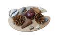 Still life on a white background of pomegranate fruit, cones and shells on a plywood palette Royalty Free Stock Photo