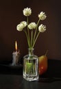 Still life with White Clover flowers