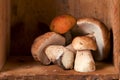 Still life with white forest boletus mushrooms Royalty Free Stock Photo