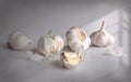 - still life, white garlic on a white background d Royalty Free Stock Photo