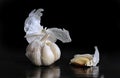 - still life, white garlic on a black background Royalty Free Stock Photo