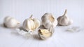 - still life, white garlic on a white background a Royalty Free Stock Photo