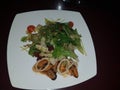 Still life. On a white plate with a salad. On one side of the dish are mussels and rapans, tomatoes in front, in the middle green Royalty Free Stock Photo