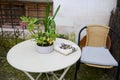 Still life with marble ashtray with cigarette butts on table with chair in garden. The concept of lung cancer diseases Royalty Free Stock Photo